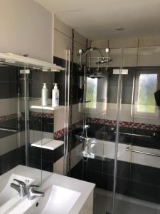 W łazience znajduje się umywalka i prysznic. w obiekcie Gite normandie Omaha beach w mieście Colleville-sur-Mer