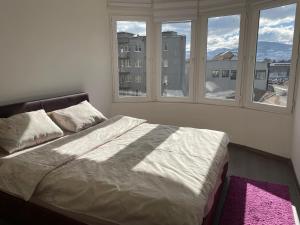 een slaapkamer met een groot bed met ramen bij SleepInNP in Novi Pazar