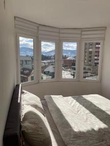 een slaapkamer met een bed voor een raam bij SleepInNP in Novi Pazar