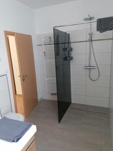 a bathroom with a shower with a glass door at Chill-out in Heilbad Heiligenstadt