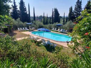 a swimming pool in a yard with chairs and umbrellas at Agriturismo Poggio al Tesoro in Crespina