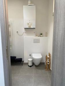 a white bathroom with a toilet and a sink at FDS Cosy House in Ghent