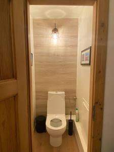 een kleine badkamer met een toilet op de gang bij Cute duplex in Chatel centre in Châtel