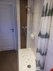 um chuveiro com uma porta de vidro na casa de banho em H&A Apartment Baden Baden em Baden-Baden