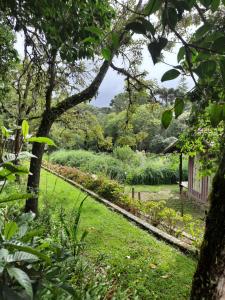 ein Garten durch die Bäume eines Hauses gesehen in der Unterkunft Rancho Campestre CDG in Rio Negrinho