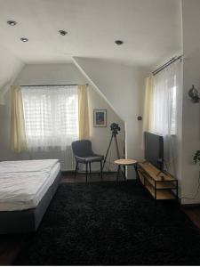 a bedroom with a bed and a desk with a television at Albi S - HH Airport in Hamburg