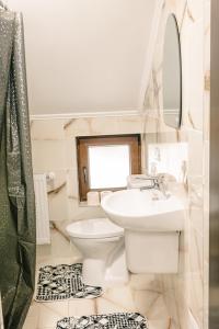 een badkamer met een wastafel, een toilet en een spiegel bij Casa de vacanță Perla Colibitei in Colibiţa