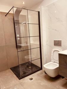 a bathroom with a shower stall and a toilet at Loft Athens -Nomad Friendly # SuperHost hub# in Athens