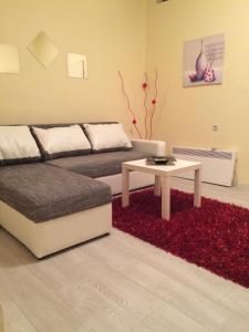 een woonkamer met een bank en een rood tapijt bij Apartments OldTown in Podgorica