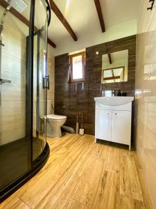 a bathroom with a shower and a sink and a toilet at Nadmorska Kępa in Kąty Rybackie