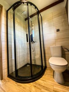 łazienka z prysznicem i toaletą w obiekcie Nadmorska Kępa w Kątach Rybackich