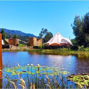 a tent in the middle of a pond with lilies at Glampwild Zaquencipa in Villa de Leyva