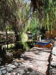 zwei Boote auf dem Wasser unter einem Baum in der Unterkunft Cabaña en valle del elqui Horcon in Pisco Elqui