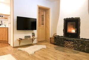 TV a/nebo společenská místnost v ubytování Apartmány a chata MONTANUS