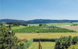 a view of a field of vines at Cozy Apartment In Medebach-Düdinghausen in Medebach