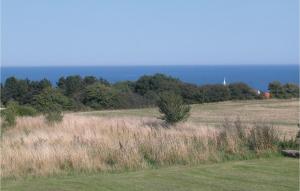 a field of grass with the ocean in the background at Four-Bedroom Holiday Home In Allinge in Allinge