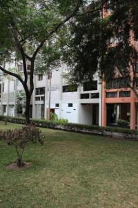 un edificio con un árbol delante en Royalty Inn, en Lima