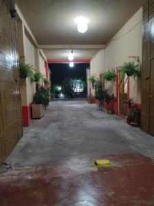 een lege hal van een gebouw met potplanten bij Hotel D Silva in Tochimilco