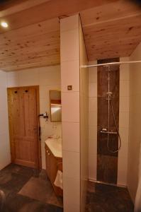 a bathroom with a shower and a sink at Landhaus Riesneralm in Donnersbachwald
