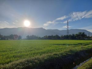 a field of green grass with the sun in the background at Jerai Geopark Cottage 2bedrooms Pulau Bidan in Yan