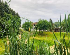 a field of grass with a house in the background at Altja Villa Guesthouse in Vergi