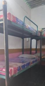 a couple of bunk beds in a room at HearthspaceHampi, a low-impact backpackers hostel in Hampi
