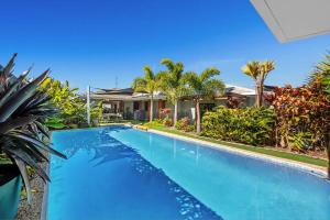 - une piscine en face d'une maison avec des palmiers dans l'établissement Broadbeach Bungalow - Heated Pool - Sleeps 7, à Gold Coast