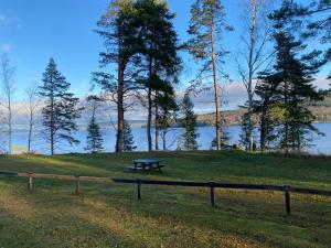 a picnic table in a field next to a lake at Åsbergbo Vandrarhem in Vallsta