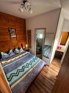1 dormitorio con 1 cama grande y espejo en Casa Rares Busteni, en Buşteni