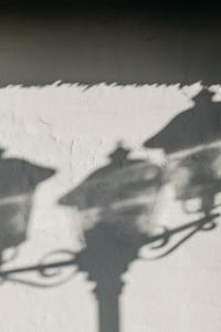 a shadow of a plant on the ground at Seaside 43 in Sankt Peter-Ording