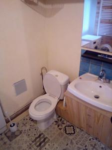 a bathroom with a toilet and a sink at Petit village authentique in Mauléon-Barousse