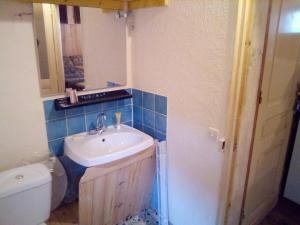 La salle de bains est pourvue d'un lavabo et de toilettes. dans l'établissement Petit village authentique, à Mauléon-Barousse
