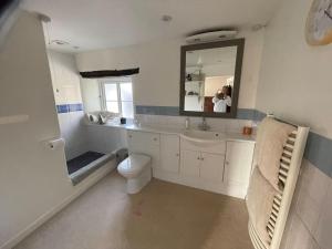 a bathroom with a toilet and a sink and a mirror at Entire country farmhouse in Cardiff