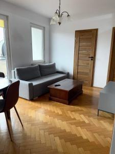 Χώρος καθιστικού στο Apartamenty w centrum Żabia