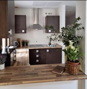 uma cozinha com um lavatório e um balcão com plantas em Cozy apartment in the city center em Granada