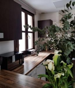 a kitchen with a counter with a bunch of plants at Cozy apartment in the city center in Granada