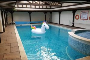 una piscina con un unicornio flotando en el agua en Hagg Hill Hall en Wingerworth