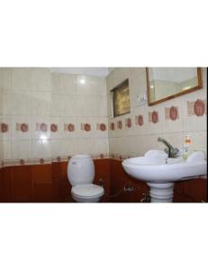 a bathroom with a toilet and a sink at Tigers Villa, Tala Bandhavgarh in Tāla