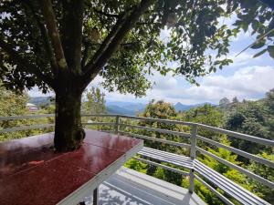 a tree sitting on a bench under a tree at Mazhavil homestay in Anachal