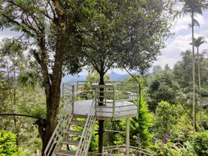 a tree house in the middle of a tree at Mazhavil homestay in Anachal