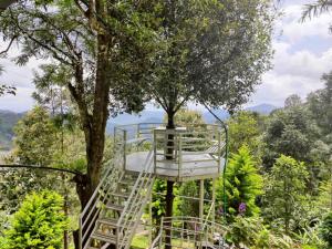 a tree house in the middle of a tree at Mazhavil homestay in Anachal