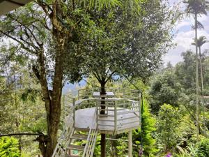 a tree house in the middle of a tree at Mazhavil homestay in Anachal