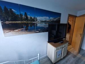 um quarto com uma parede com uma imagem de um lago em Ferienwohnung ELSA em Immenstadt im Allgäu