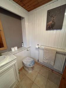 a bathroom with a toilet and a deer picture on the wall at Craiglea Cottage, self catering highland cottage. in Fort William