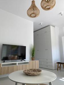 TV a/nebo společenská místnost v ubytování The Palm Apartment Karpathos
