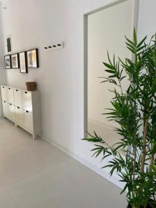 een badkamer met een spiegel en een potplant bij The Palm Apartment Karpathos in Karpathos