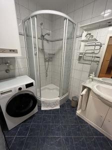 Koupelna v ubytování Apartment Mölltaler Gletscher 2 + 27 fotografií