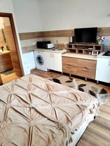 1 dormitorio con 1 cama grande y cocina en Casa de vis en Brasov