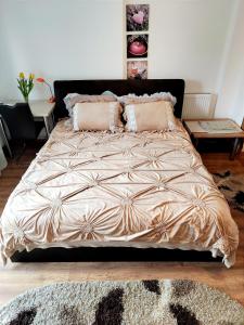 una camera da letto con un grande letto con due cuscini di Casa de vis a Braşov