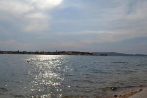 Hrvatska, BRODARICA, Jasmine